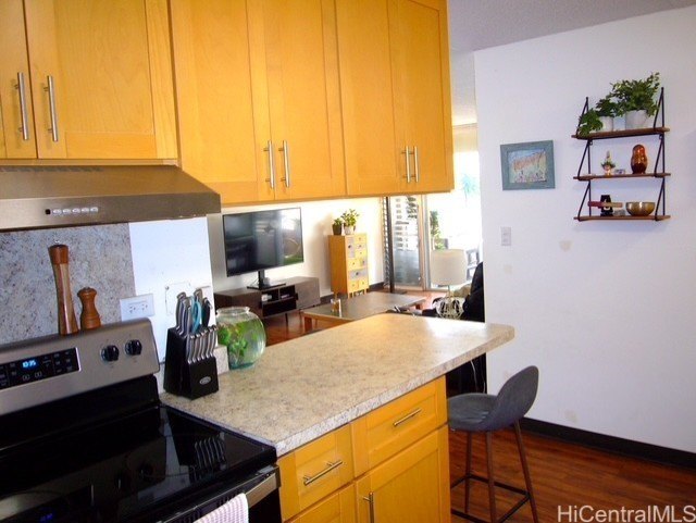 A Boutique condo Located on the Diamond Head side of the Ala Wai - photo 9