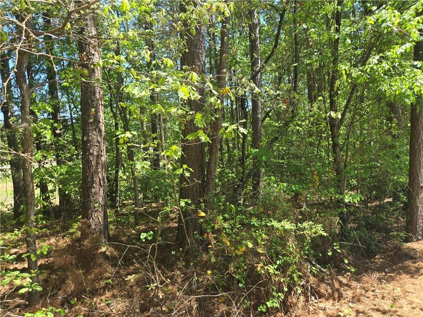 Spinnaker Cove section of Keowee Key offers one of the last - photo 3