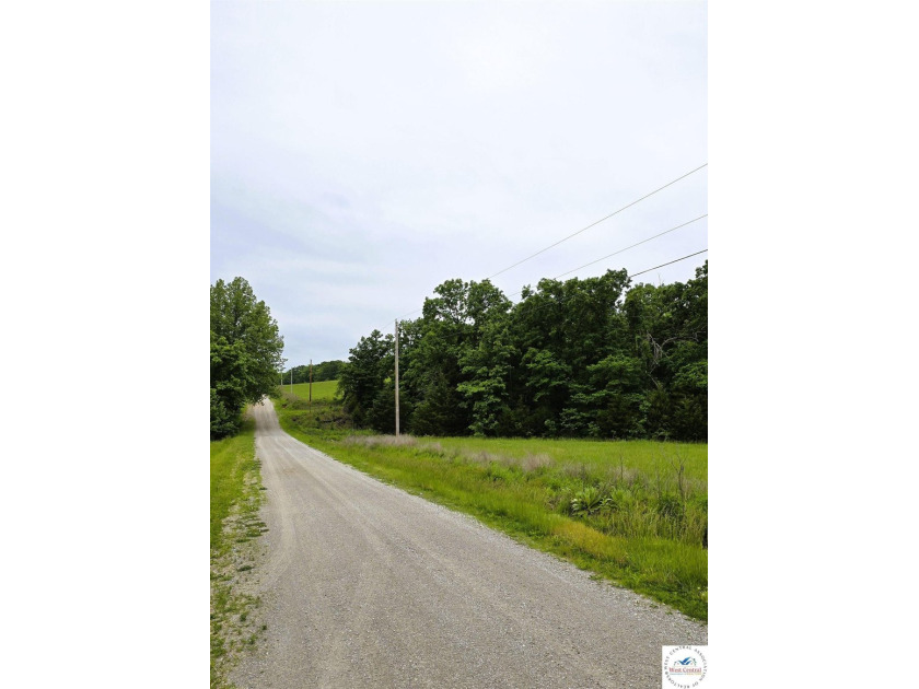 Beautiful 5.50-acre lot with gently rolling hills, a mix of open - photo 4