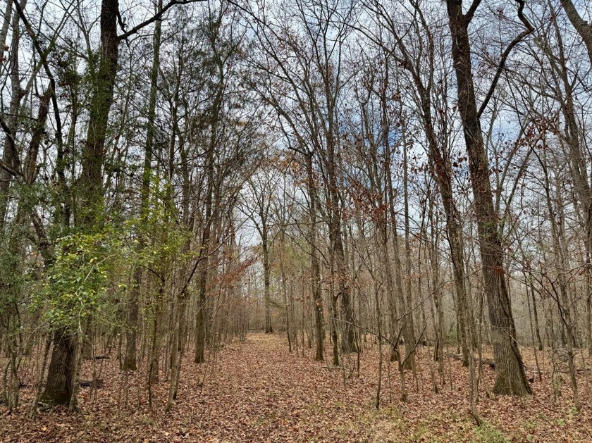 This is one of the rarest riverfront tracts to hit the market in - photo 4