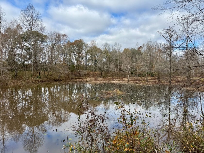 This is one of the rarest riverfront tracts to hit the market in - photo 5