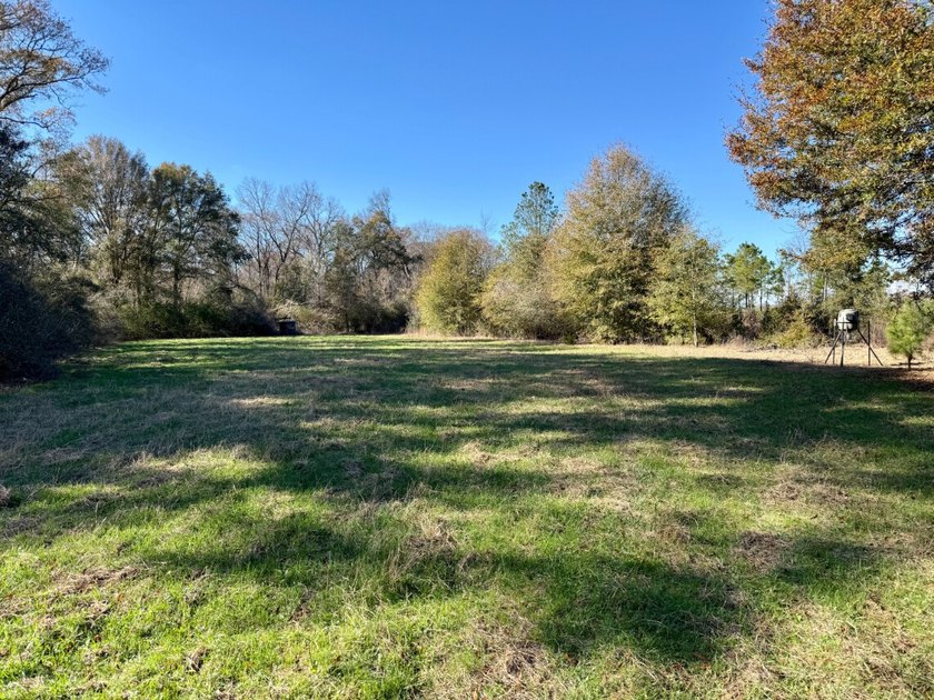 This is one of the rarest riverfront tracts to hit the market in - photo 6