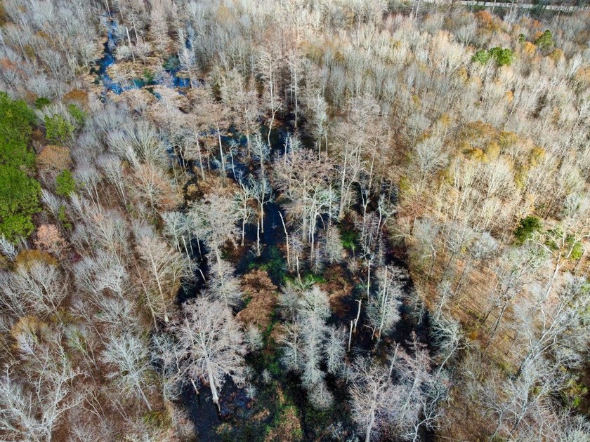 This is one of the rarest riverfront tracts to hit the market in - photo 7