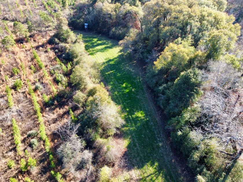 This is one of the rarest riverfront tracts to hit the market in - photo 9