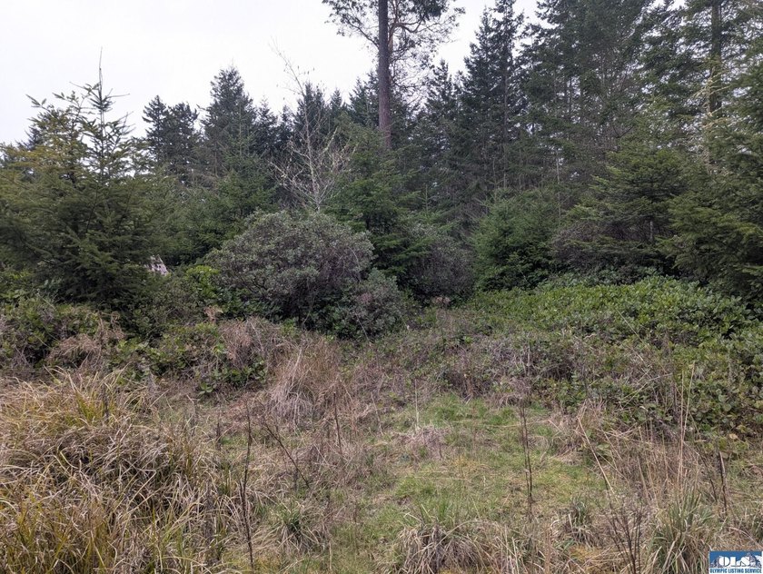 1.08-acre build-ready lot with water already connected! Treed - photo 2