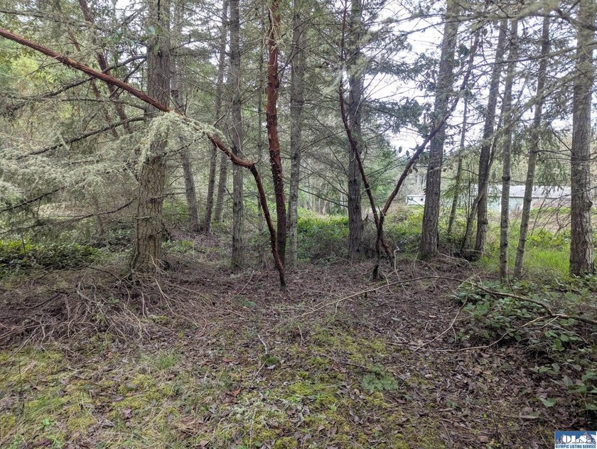 1.08-acre build-ready lot with water already connected! Treed - photo 3