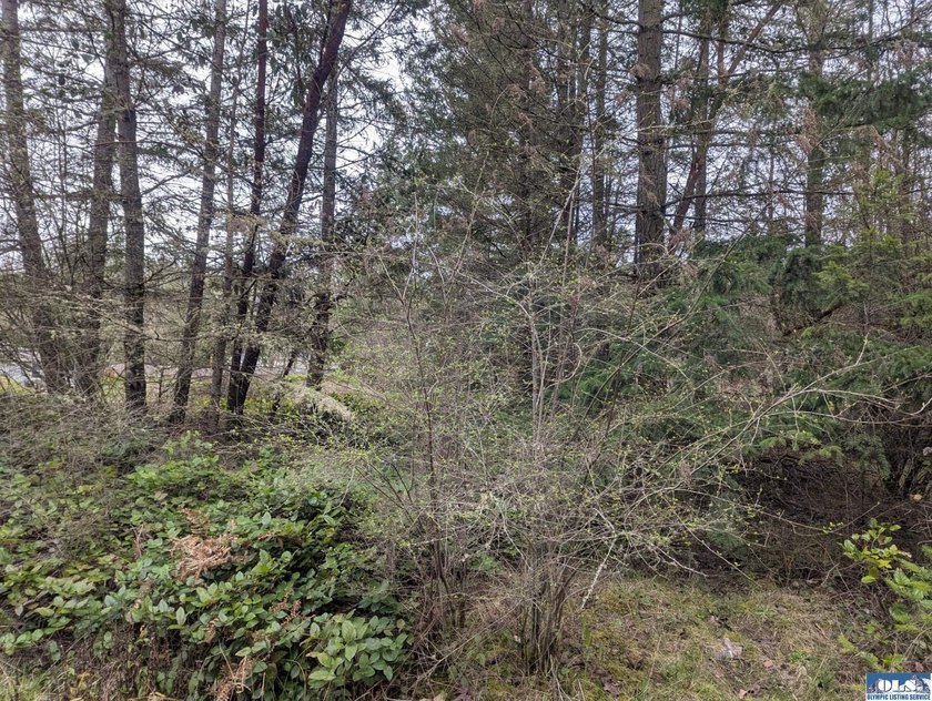 1.08-acre build-ready lot with water already connected! Treed - photo 4