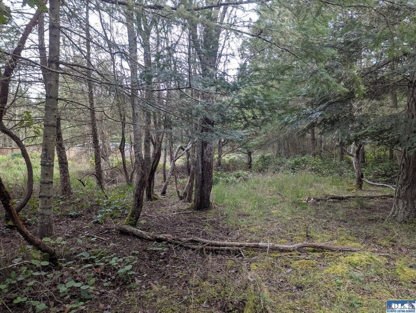 1.08-acre build-ready lot with water already connected! Treed - photo 5