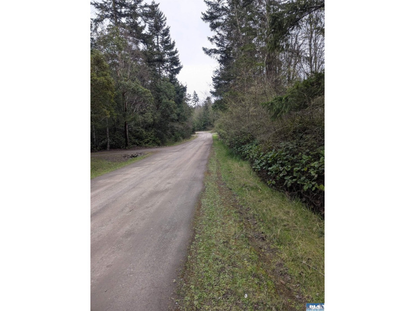 1.08-acre build-ready lot with water already connected! Treed - photo 7