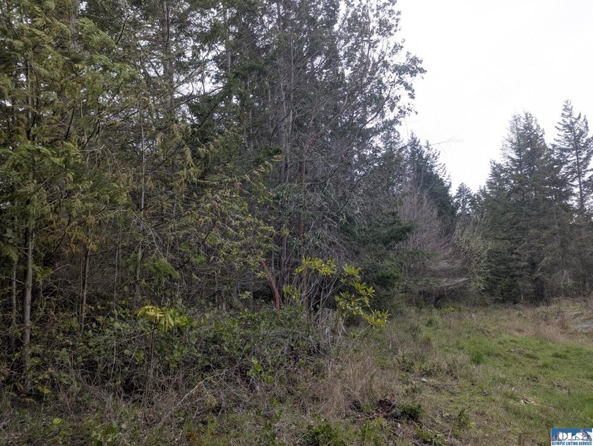1.08-acre build-ready lot with water already connected! Treed - photo 8