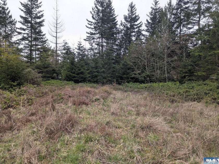 1.08-acre build-ready lot with water already connected! Treed - photo 10