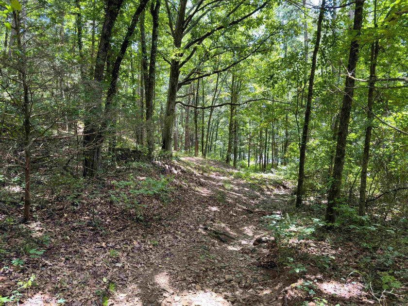 Lake Front w/ good access trails down to Greers Ferry Lake. 17 - photo 33