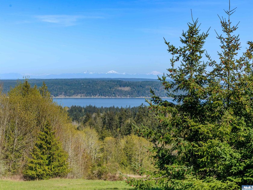 BIG water views and elbow room in one of Sequim's finest - photo 2