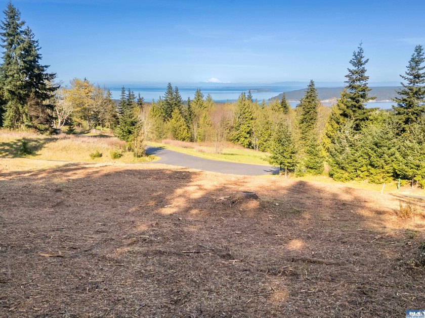 BIG water views and elbow room in one of Sequim's finest - photo 3
