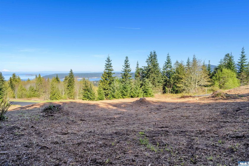 BIG water views and elbow room in one of Sequim's finest - photo 8
