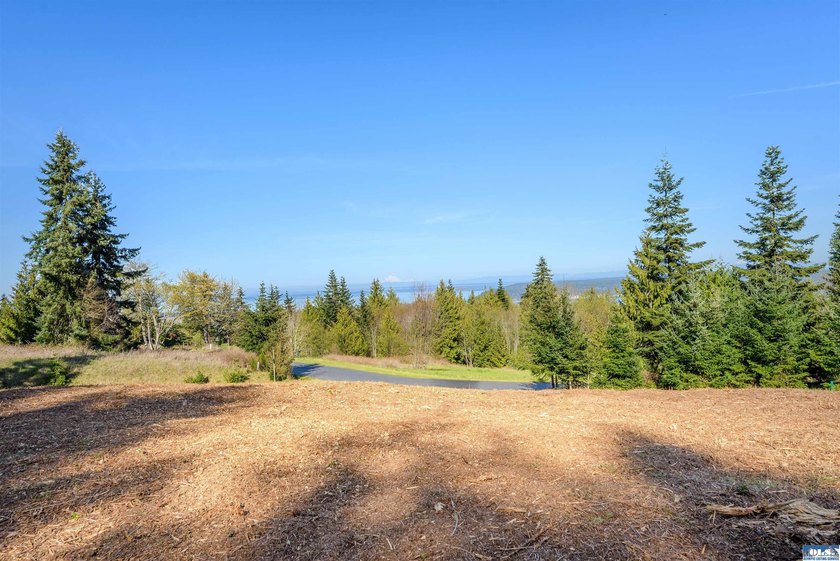 BIG water views and elbow room in one of Sequim's finest - photo 10