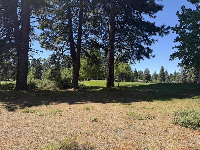 Prime golf-course lot located along the 3rd fairway of the - photo 3