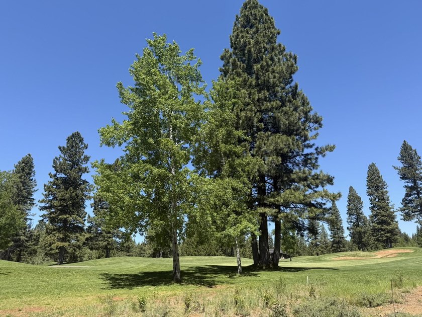 Prime golf-course lot located along the 3rd fairway of the - photo 4