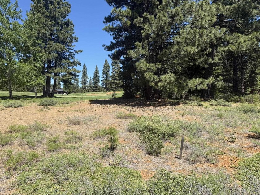 Prime golf-course lot located along the 3rd fairway of the - photo 5