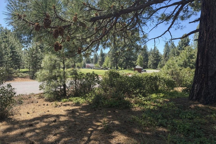 Prime golf-course lot located along the 3rd fairway of the - photo 9
