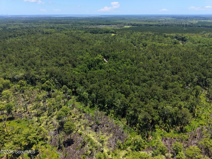 41.27 Acres - Maple Ford Road Discover the perfect blend of - photo 2