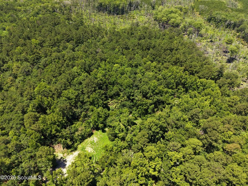 41.27 Acres - Maple Ford Road Discover the perfect blend of - photo 5