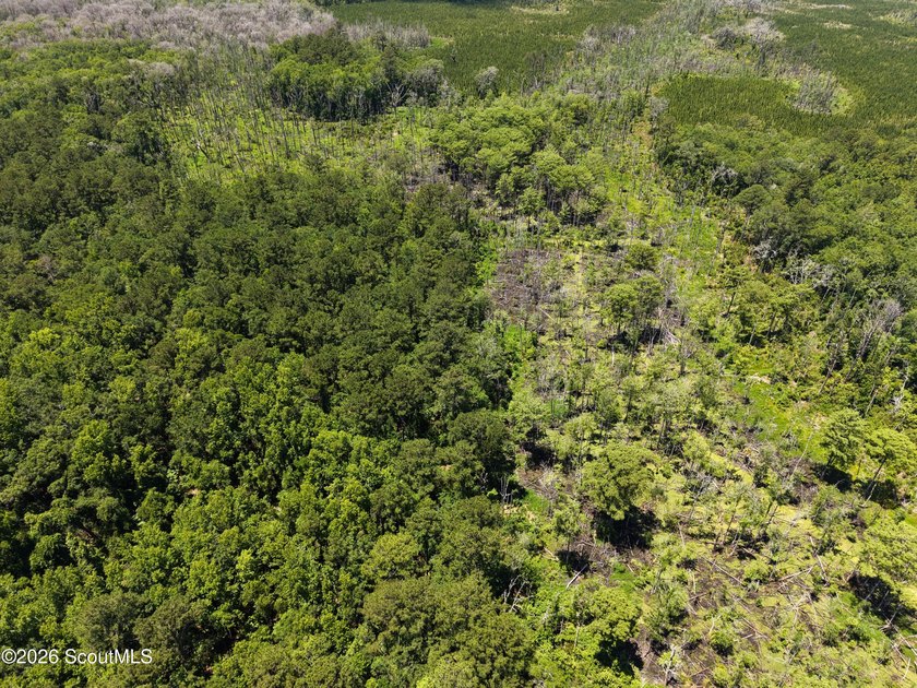 41.27 Acres - Maple Ford Road Discover the perfect blend of - photo 6