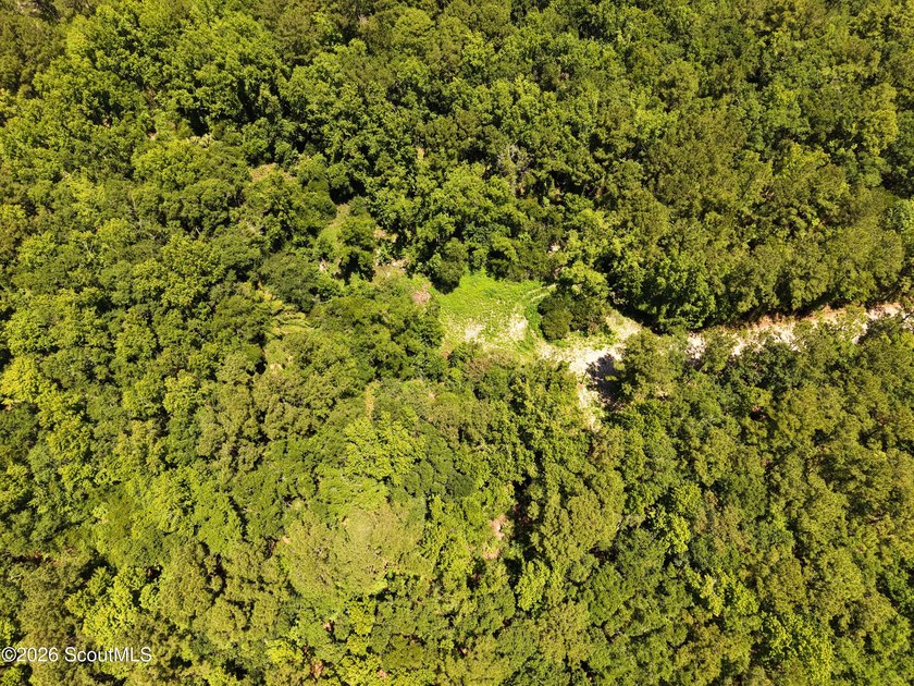 41.27 Acres - Maple Ford Road Discover the perfect blend of - photo 7