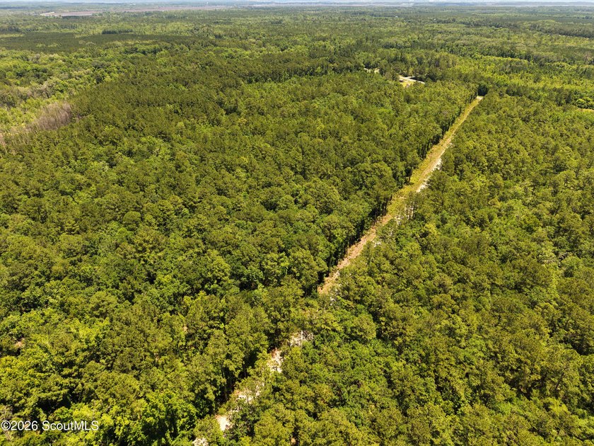 12.60 Acres - Maple Ford Road Discover the perfect blend of - photo 3