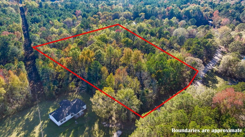 Spacious wooded lot tucked away in a quiet, peaceful setting - photo 2