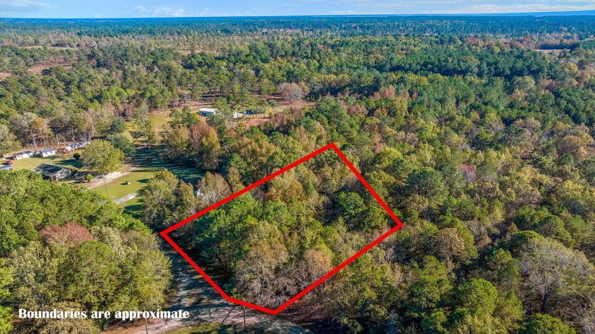 Spacious wooded lot tucked away in a quiet, peaceful setting - photo 3