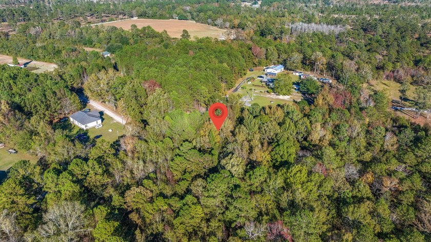 Spacious wooded lot tucked away in a quiet, peaceful setting - photo 6