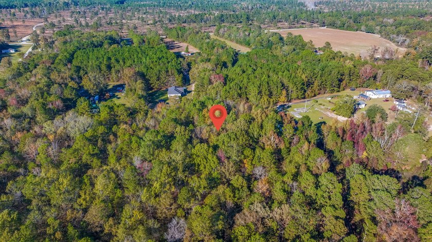 Spacious wooded lot tucked away in a quiet, peaceful setting - photo 7