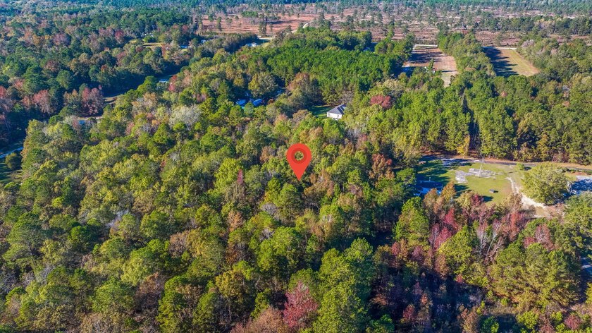 Spacious wooded lot tucked away in a quiet, peaceful setting - photo 8