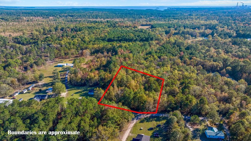 Spacious wooded lot tucked away in a quiet, peaceful setting - photo 9