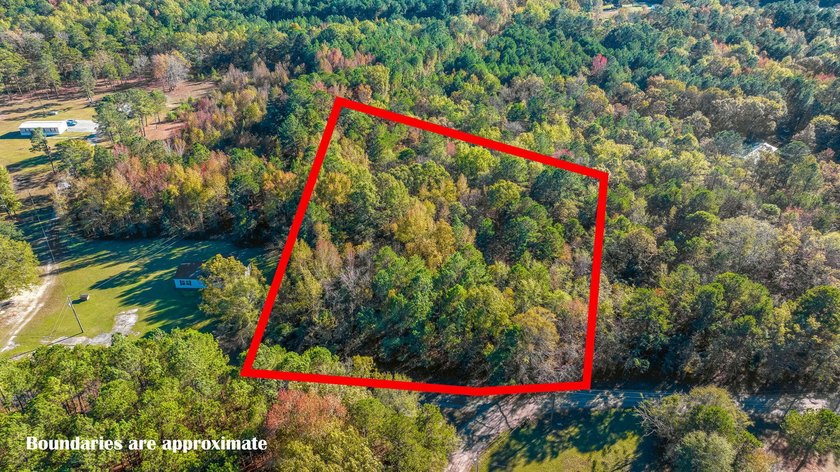 Spacious wooded lot tucked away in a quiet, peaceful setting - photo 10