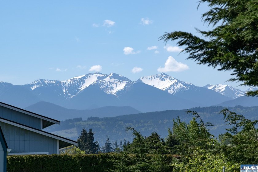 Welcome to this beautifully crafted, custom single-level home - photo 2