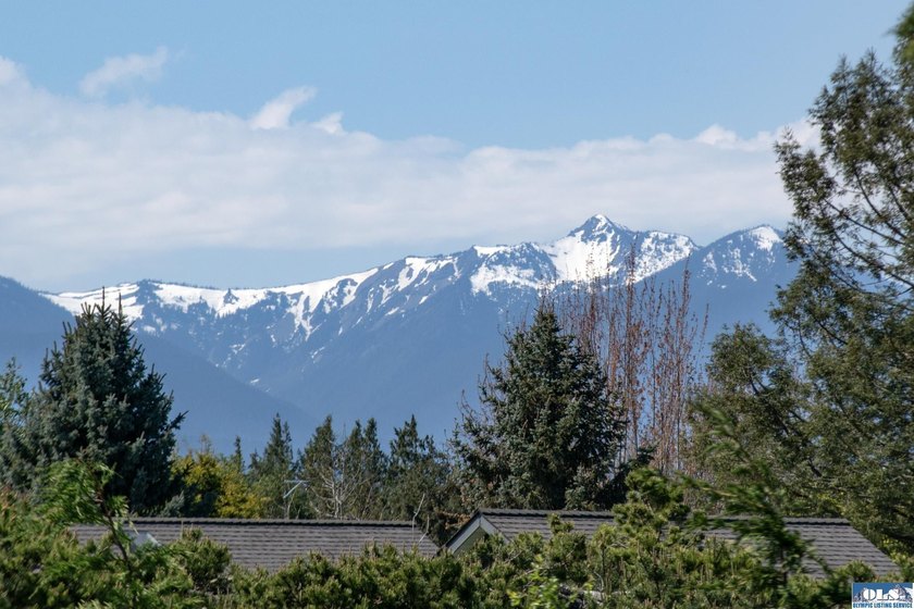 Welcome to this beautifully crafted, custom single-level home - photo 3