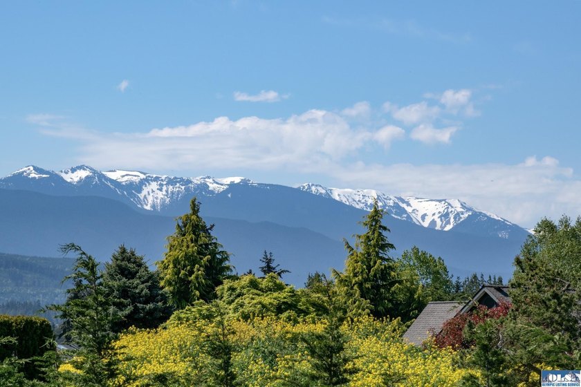 Welcome to this beautifully crafted, custom single-level home - photo 4
