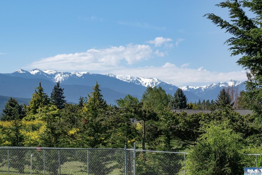 Welcome to this beautifully crafted, custom single-level home - photo 5