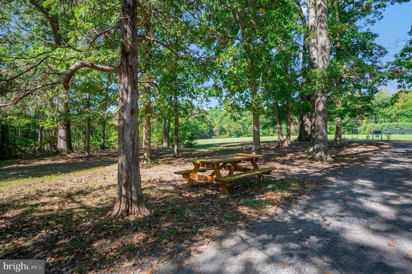 Welcome to Wyndemere-where elevated design meets the LAKE ANNA - photo 47