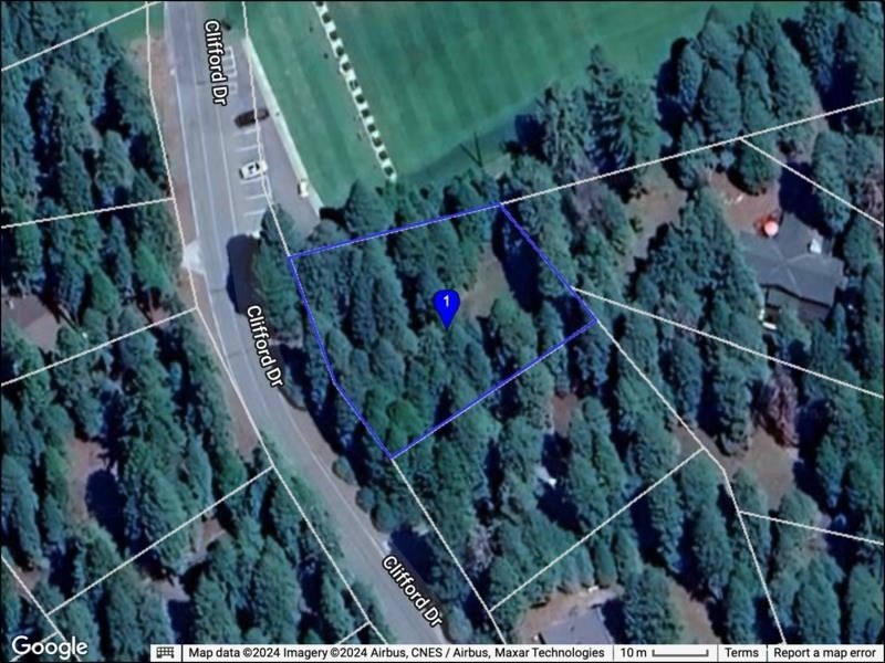 Superior Lake Almanor Country Club lot in an exceptional - photo 2