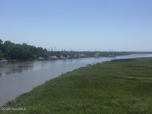 The charm of a Southern neighborhood is Tolomato Island located - photo 16
