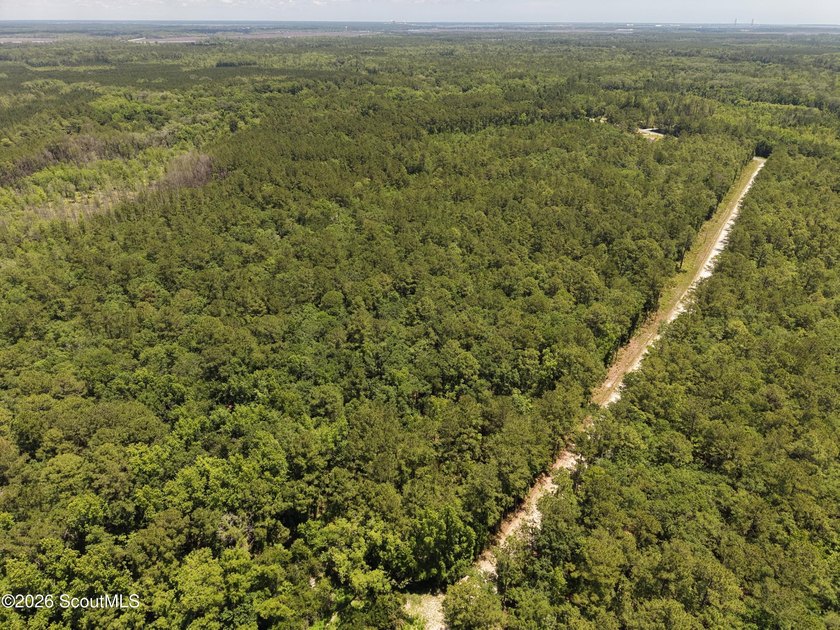 7.58 Acres - Maple Ford Road Discover the perfect blend of - photo 3