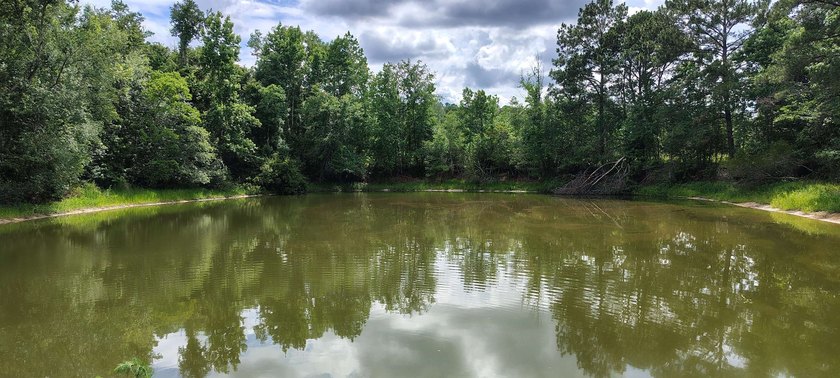 Bring All Offers!!! Sportsman's Paradise Nature Preserve Quiet - photo 2