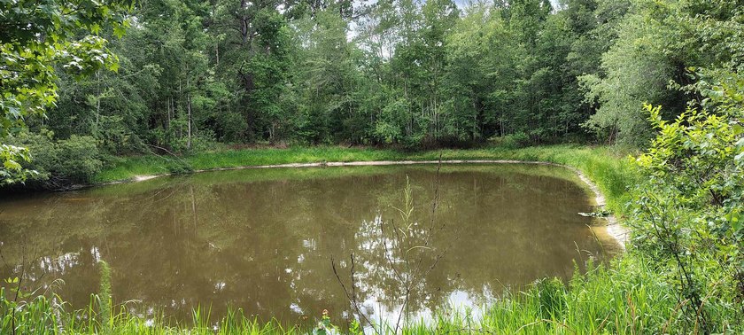 Bring All Offers!!! Sportsman's Paradise Nature Preserve Quiet - photo 3