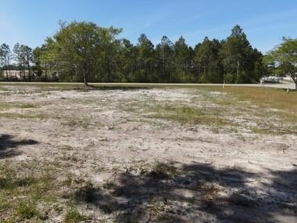Don't miss this level, high and dry .51-acre corner lot at Hwy - photo 5