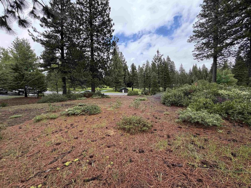 Beautiful golf course homesite located in the Bailey Creek - photo 3