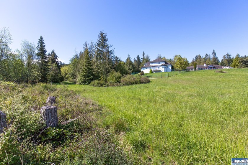 UNOBSTRUCTED salt water views from this 1.21 acre rare flat lot - photo 4
