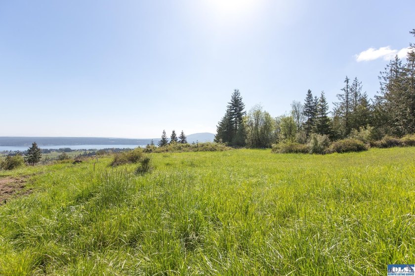UNOBSTRUCTED salt water views from this 1.21 acre rare flat lot - photo 7